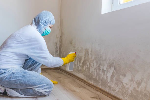 Licensed Crawl Space Mold Removal service in Trenton, NJ - WQB Mold Removal