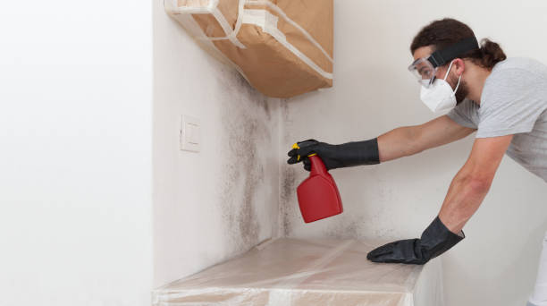 Professional Crawl Space Mold Removal technician working in Trenton, NJ