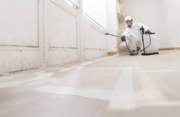 24/7 Emergency Crawl Space Mold Removal experts in Trenton, NJ