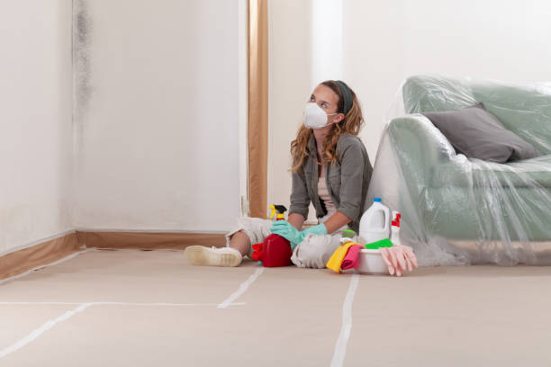 Reliable Crawl Space Mold Removal contractor in Trenton, NJ by WQB Mold Removal